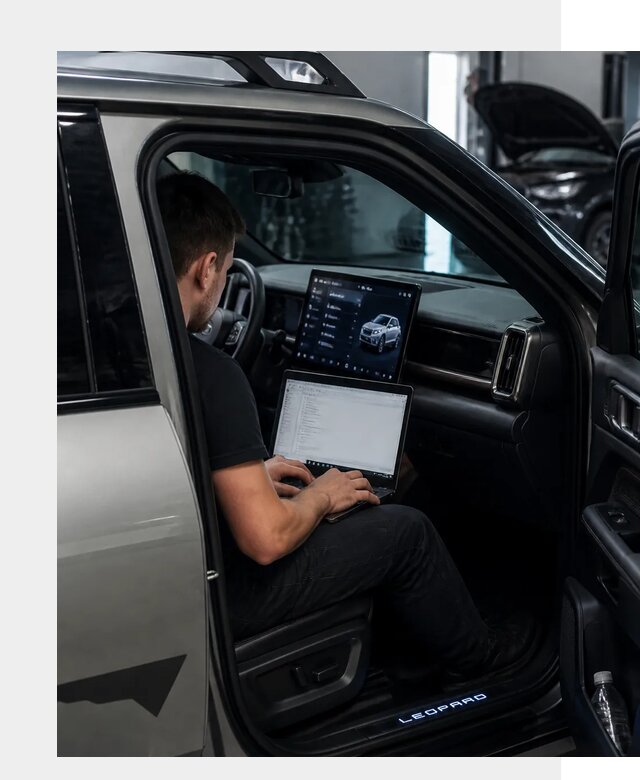 Русификация BYD Leopard 3 в Боровичах по цене от 20742 р. | ФастМобиль-Брв