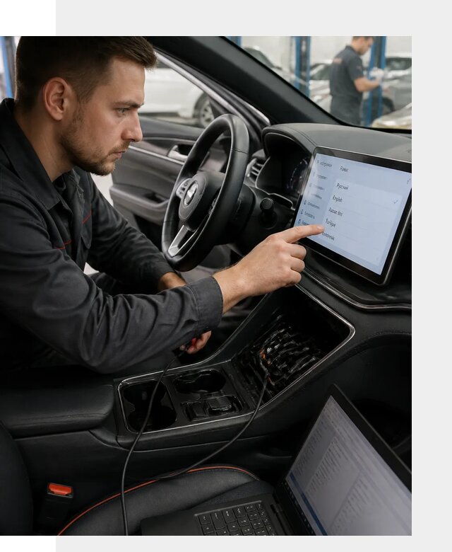 Профессиональная русификация BYD SONG Plus в Боровичах